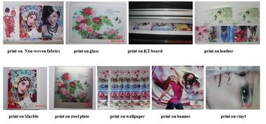 Environmental friendly  Eco solvent ink printer factory supply